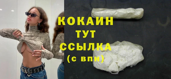 шишки Новозыбков