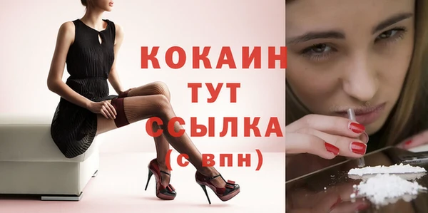 шишки Новозыбков