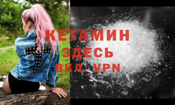 шишки Новозыбков