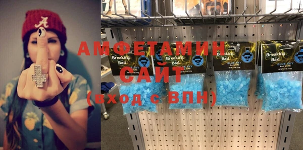 шишки Новозыбков