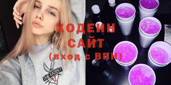шишки Новозыбков