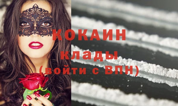 шишки Новозыбков