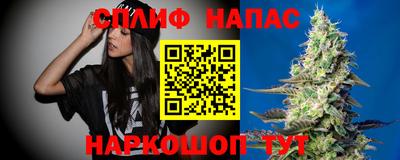 сатива Бузулук