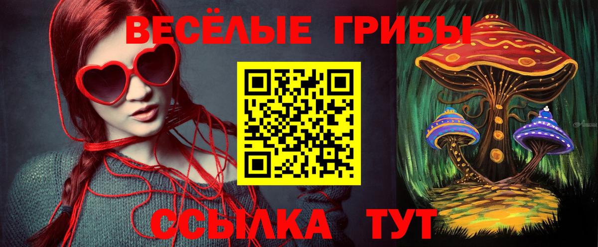 Галлюциногенные грибы мухоморы  Елец 