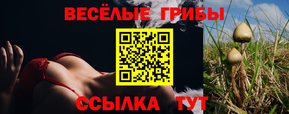Галлюциногенные грибы Magic Shrooms  закладки  Вход с VPN  Елец  Галлюциногенные грибы GOLDEN TEACHER 