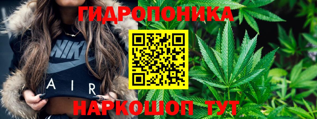 Канабис гибрид Елец